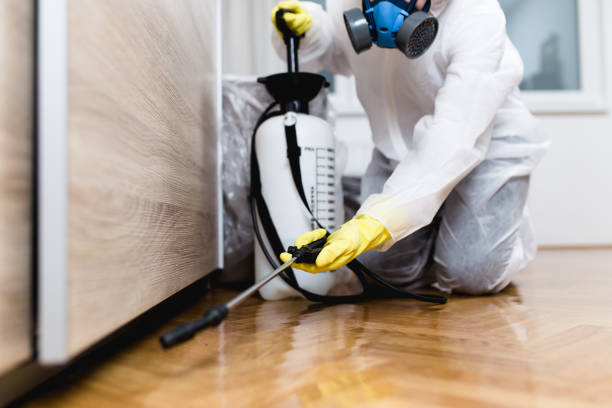 Best Insect Control  in Shepherd, TX