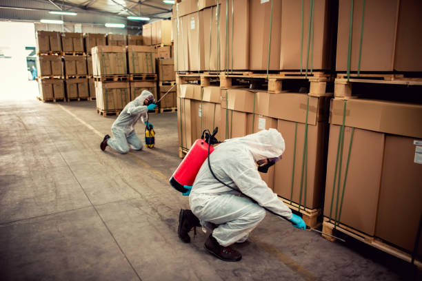 Best Flea Control Services  in Shepherd, TX