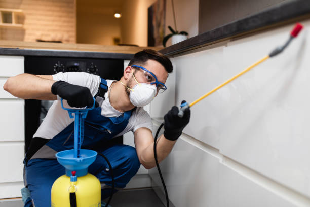 Reliable Shepherd, TX Pest Control Solutions