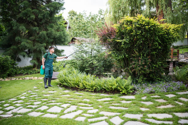 Best Ant Control Services  in Shepherd, TX