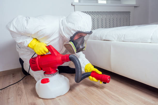 Best Bed Bug Extermination  in Shepherd, TX