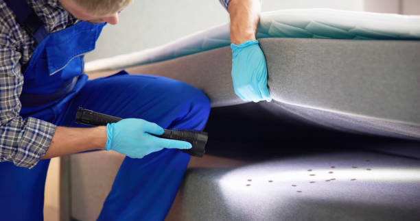 Best Pest Inspection Near Me  in Shepherd, TX
