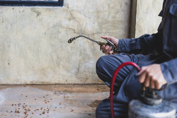 Best Flea Control Services  in Shepherd, TX