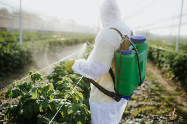 Best Best Pest Control Companies  in Shepherd, TX